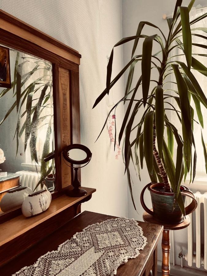 Ferienwohnung Geister ナウムブルク エクステリア 写真
