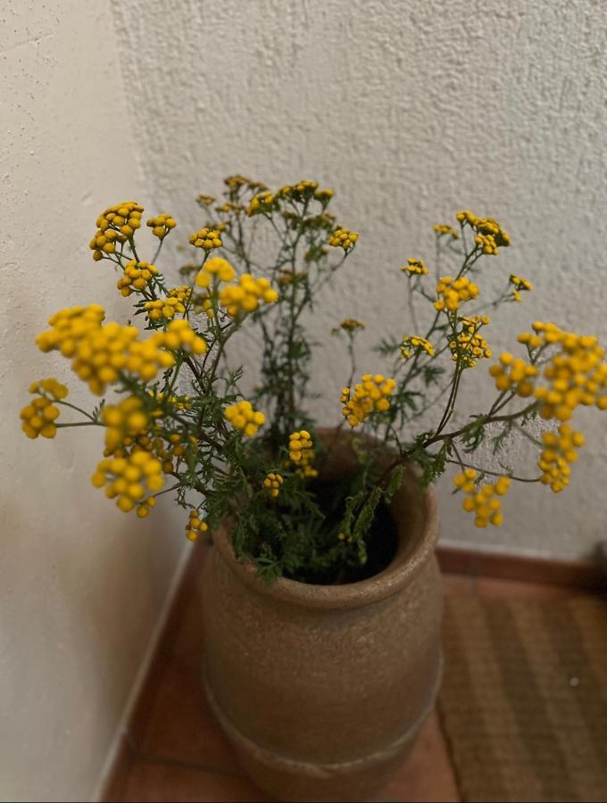 Ferienwohnung Geister ナウムブルク エクステリア 写真