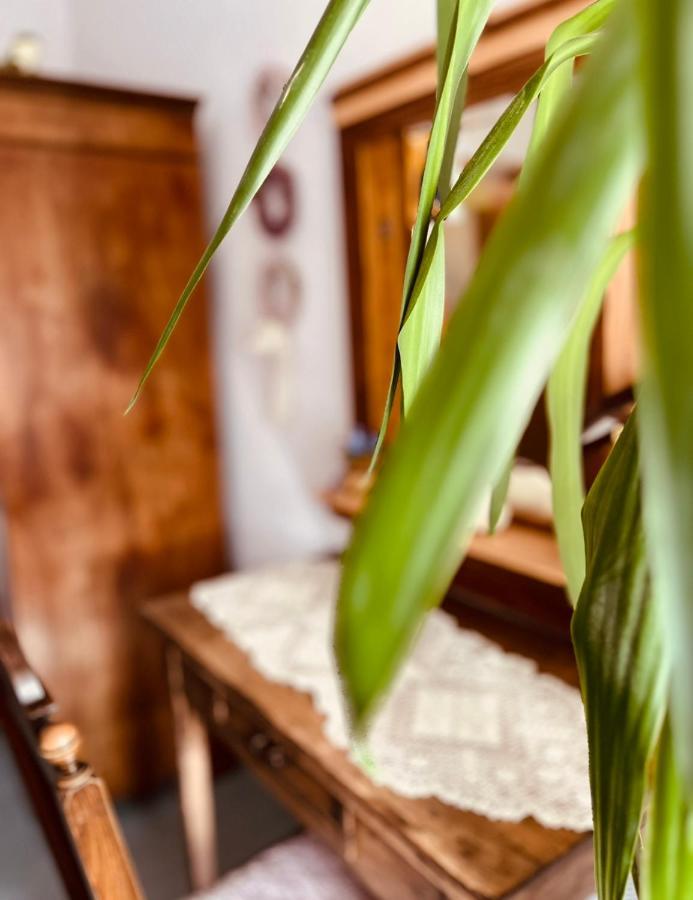 Ferienwohnung Geister ナウムブルク エクステリア 写真